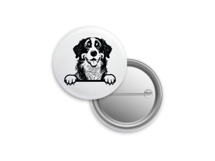 Placka - Bernský salašnický pes