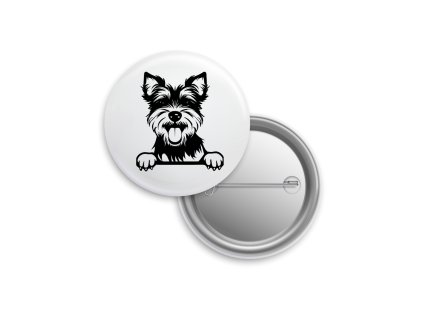 Placka - Biewer Terrier