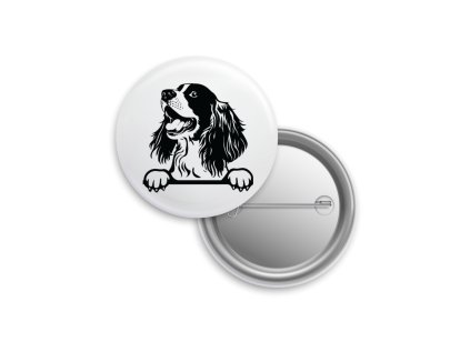 Placka - Anglický špringeršpaněl