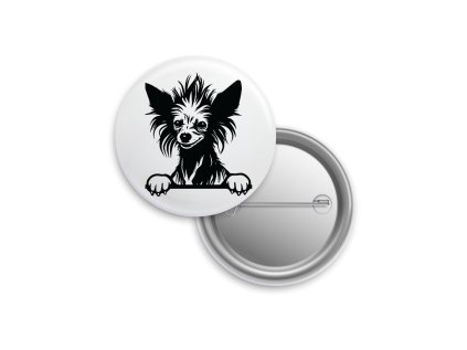 Placka - Čínský chocholatý pes