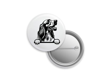 Placka - Irský setr