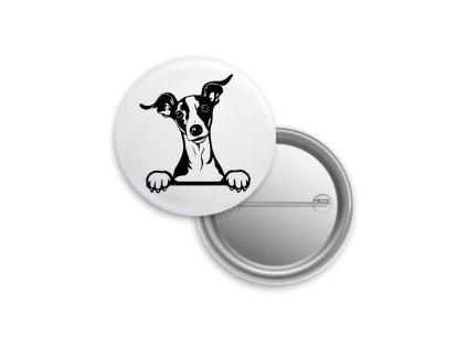 Placka - Italský chrtík