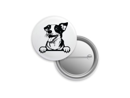 Placka - Jack Russel