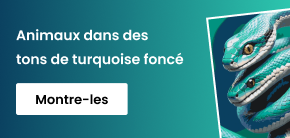 category_banner_big_mobile