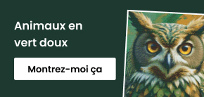 category_banner_big_mobile