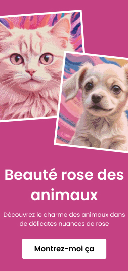 category_banner_small