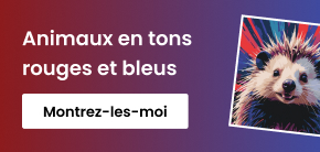 category_banner_big_mobile