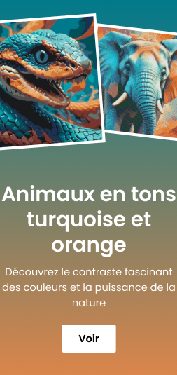 category_banner_small