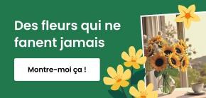 category_banner_big_mobile