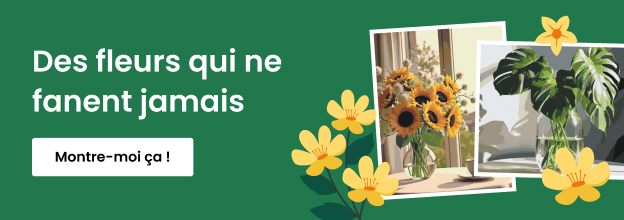 product_detail_banner