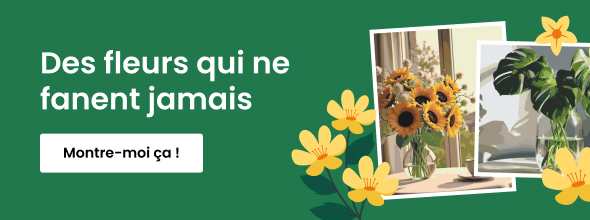 homepage_banner_right