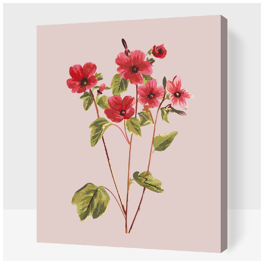 Paint by Number - Vintage Flowers