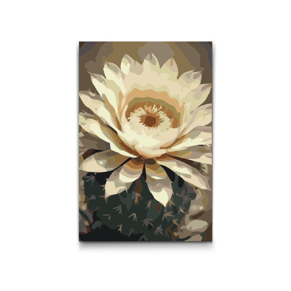 M2_Painting_by_Numbers_-_Cactus_flower