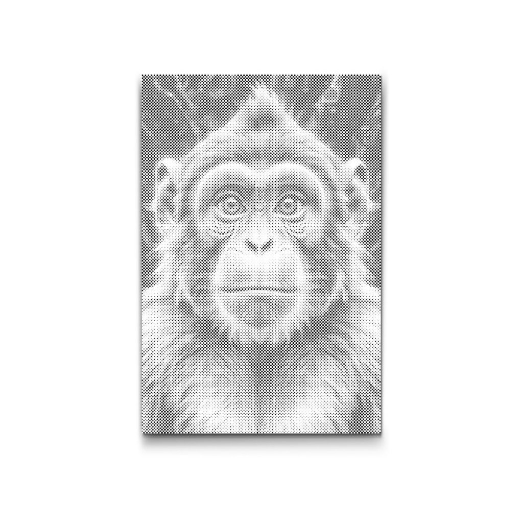 M2_Dotting_Points_-_Monkey_in_shades_of_dark_turquoise