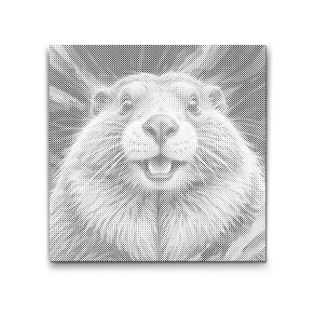 M2_Dotting_Points_-_Beaver_in_shades_of_red_and_blue