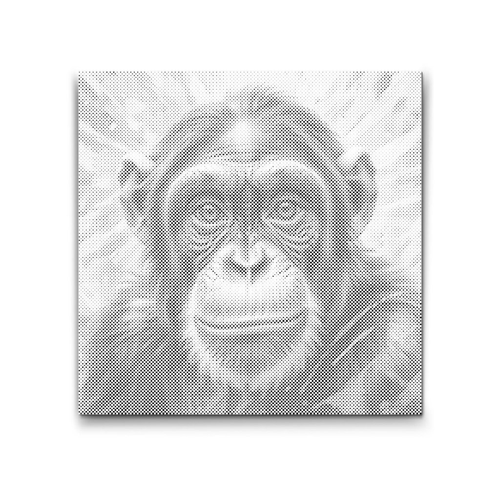 M2_Dotting_Points_-_Chimpanzee_in_shades_of_pink