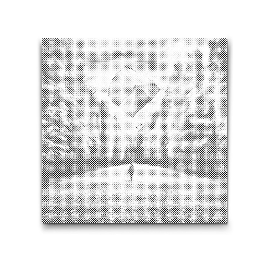 M2_Dotting_Points_-_Flying_a_Kite_in_Middle_of_Forest