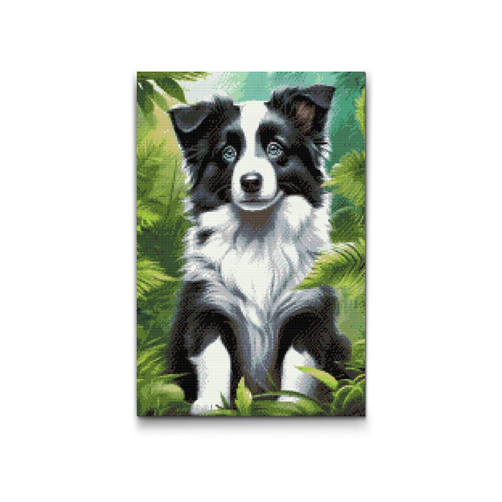 M2_Diamond_Paintings_-_Border_Collie_puppy