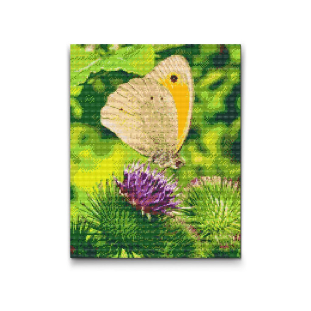 M2_Diamond_Paintings_-_Butterfly_sitting_on_a_flower
