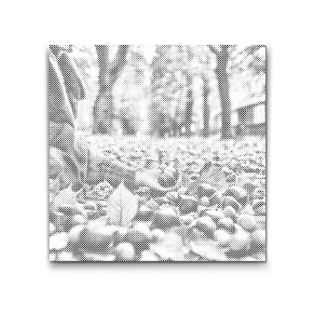 M2_Dotting_Points_-_Chestnuts_Up_Close