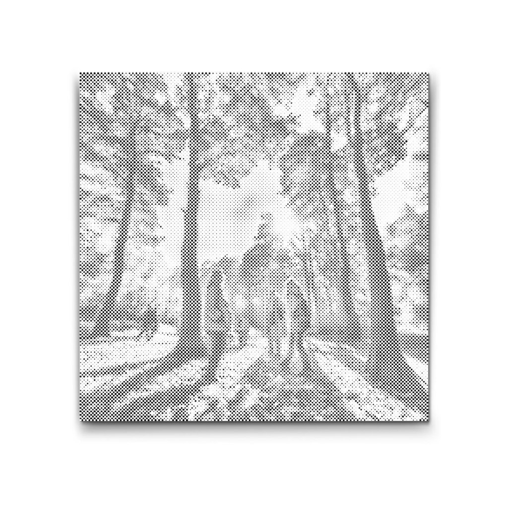 M2_Dotting_Points_-_Family_in_Forest