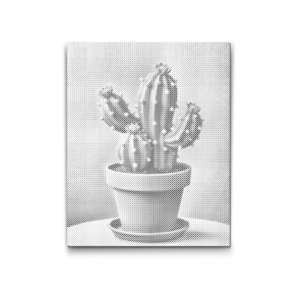 M2_Dotting_Points_-_Cactus_in_a_pot
