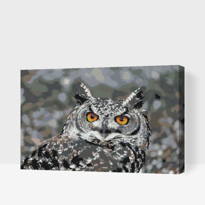 Paint by Number - Owl 3
