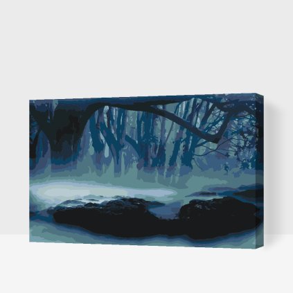 Paint by Number - Fog in the Forest