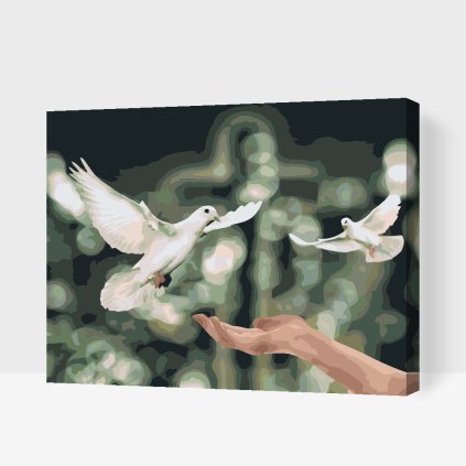 Paint by Number - Doves of Peace