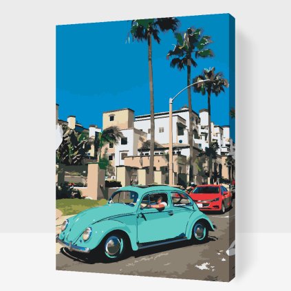 Paint by Number - Malibu Beetle