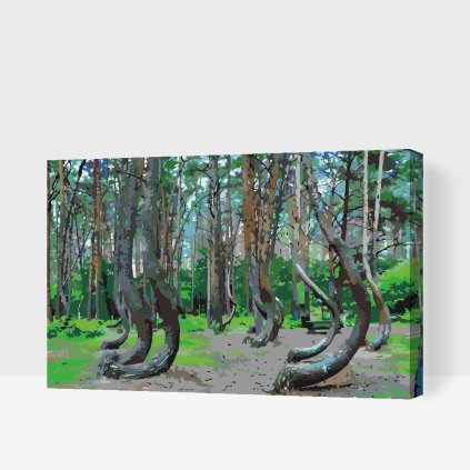 Paint by Number - Crooked Forest in Poland