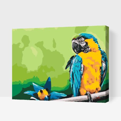 Paint by Number - Parrot and Flower