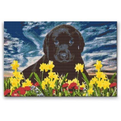 Diamond Painting - Labrador Puppy