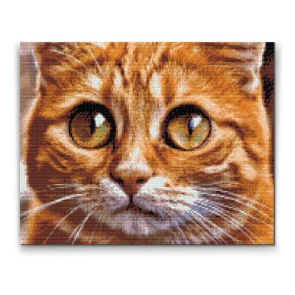Diamond Painting - Cat Eyes 2