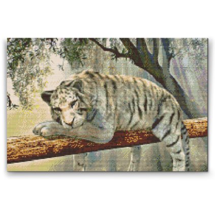 Diamond Painting - White Tiger