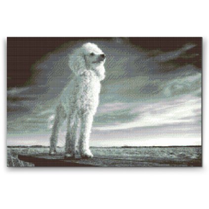 Diamond Painting - Poodle