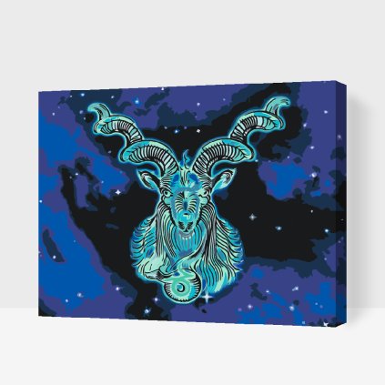 Paint by Number - Capricorn