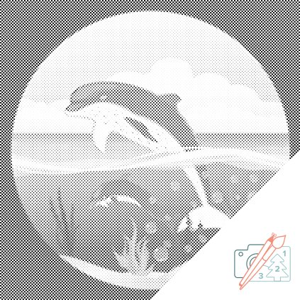 Dotting points - Dolphins in the Ocean