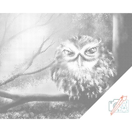 Dotting points - Wise Owl