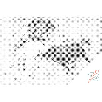 Dotting points - Bullfighting