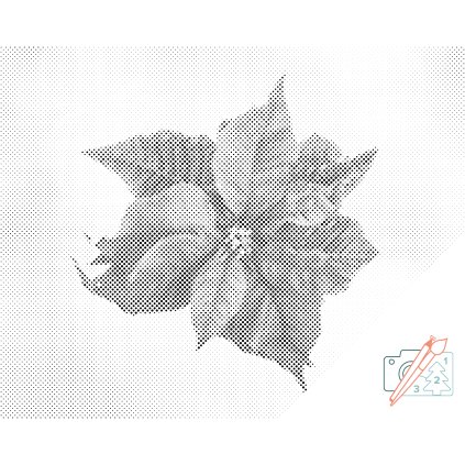 Dotting points - Poinsettia