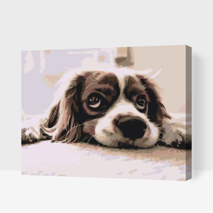 Paint by Number - Cute Puppy