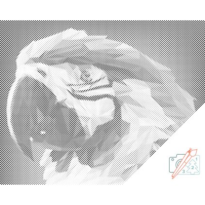 (1)klient navrh (42)