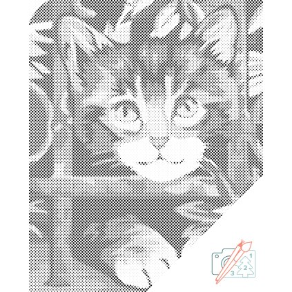 (1)klient navrh (18)