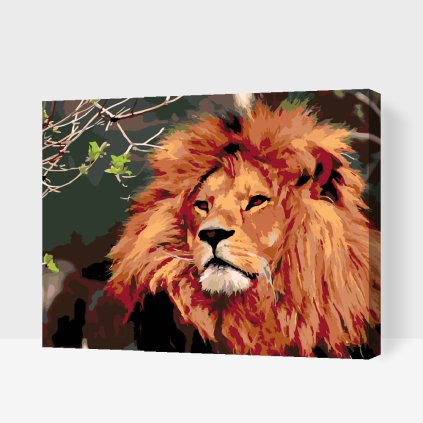 Paint by Number - Lion