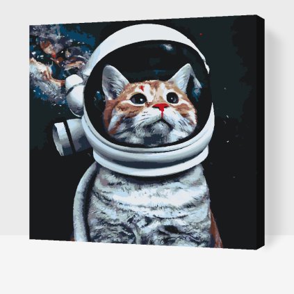 Paint by Number - I want to be an Astronaut