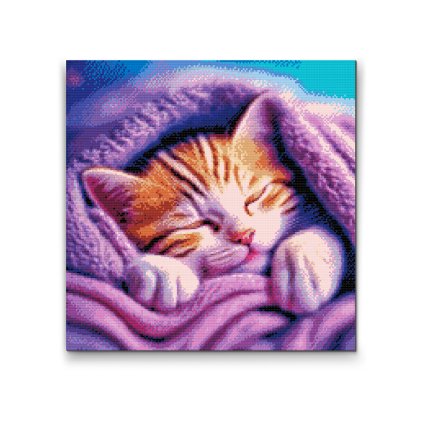 Diamond Painting - Kitten under cover