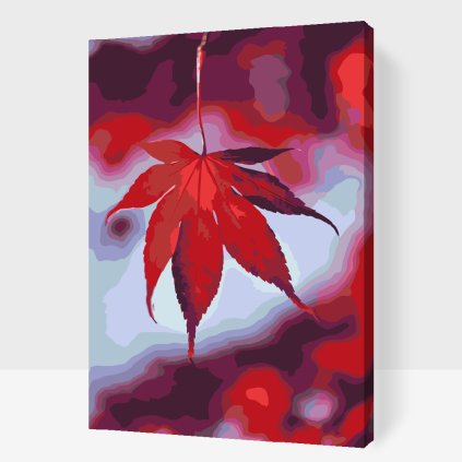 Paint by Number - Maple Leaf