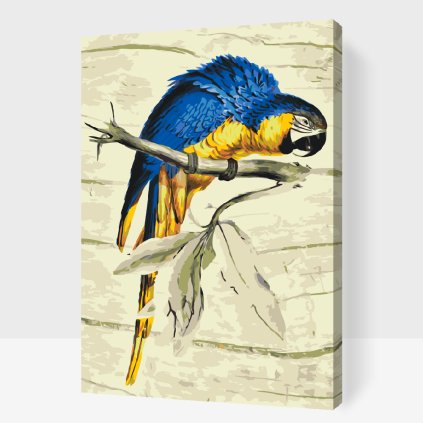 Paint by Number - Vintage Parrot