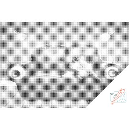 Dotting points - Couch Dog